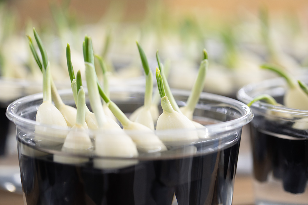 ウェル工房 ALIVE